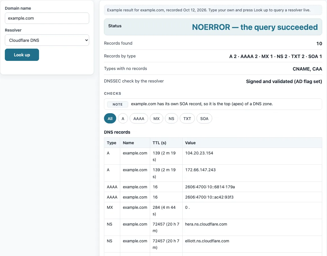 Dns lookup example